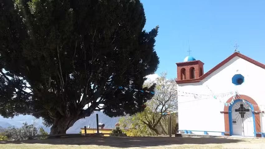 Ieebo San Juan Atepec