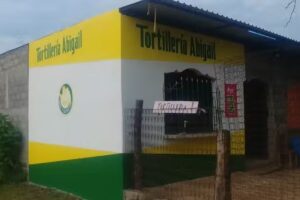 Ig Fuente De Agua Viva