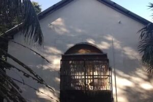 igleisia adventista Limones 2