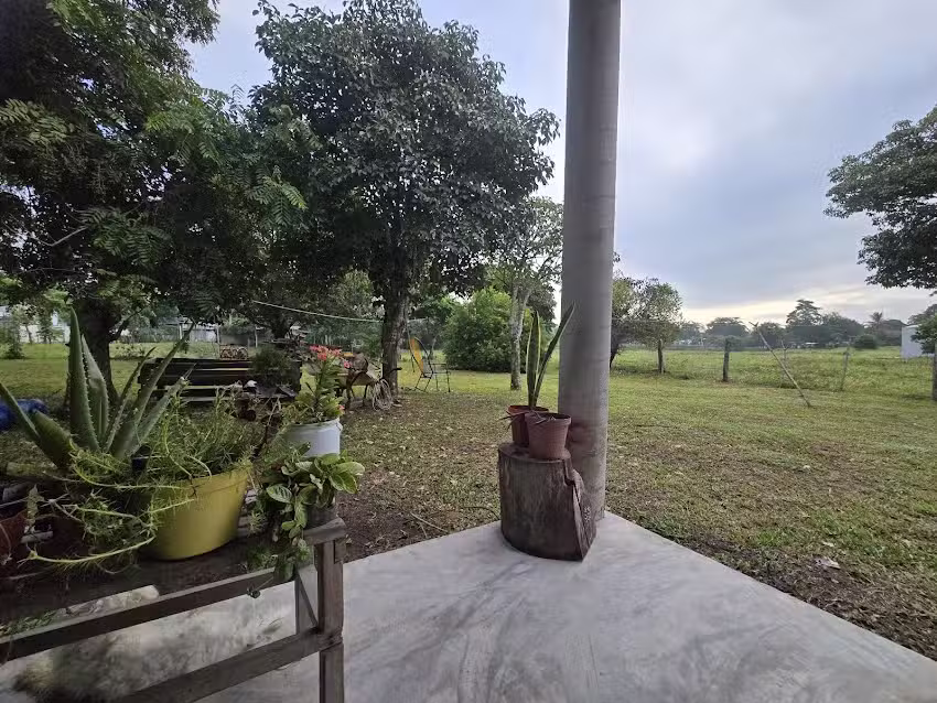 Iglesia adventista, buena vista 1