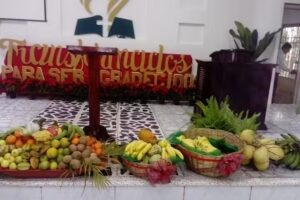 Iglesia Adventista &ldquo;Ceiba 2&rdquo; Distrito Miahuatl&aacute;n