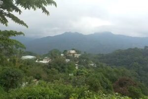 Iglesia Adventista del S&eacute;ptimo D&iacute;a