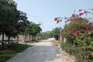 Iglesia Adventista del séptimo día