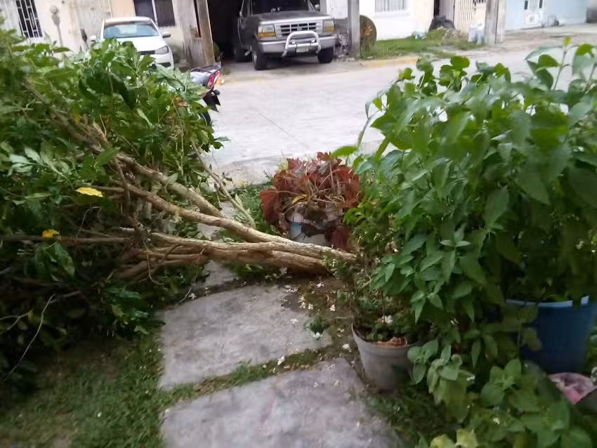 iglesia adventista del septimo dia