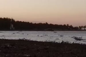 Iglesia Adventista Del Séptimo Día Chiltepec