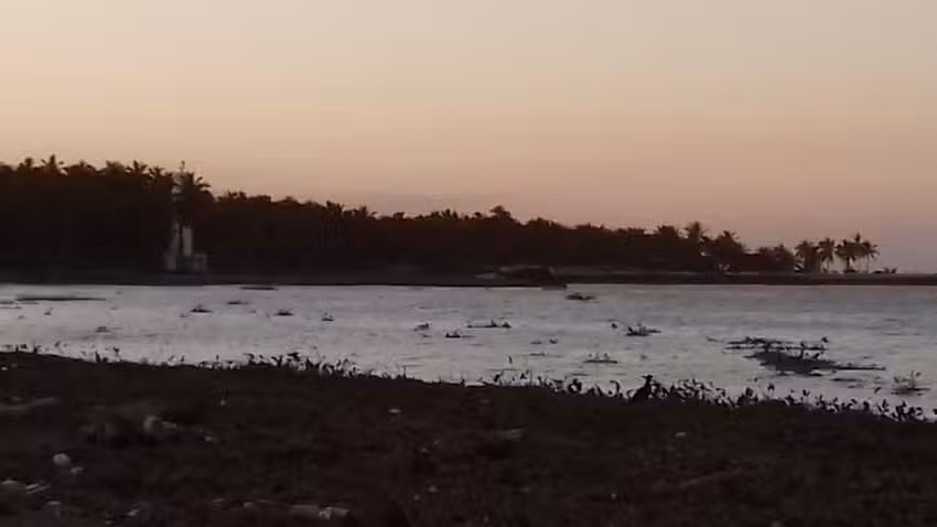 Iglesia Adventista Del S&eacute;ptimo D&iacute;a Chiltepec