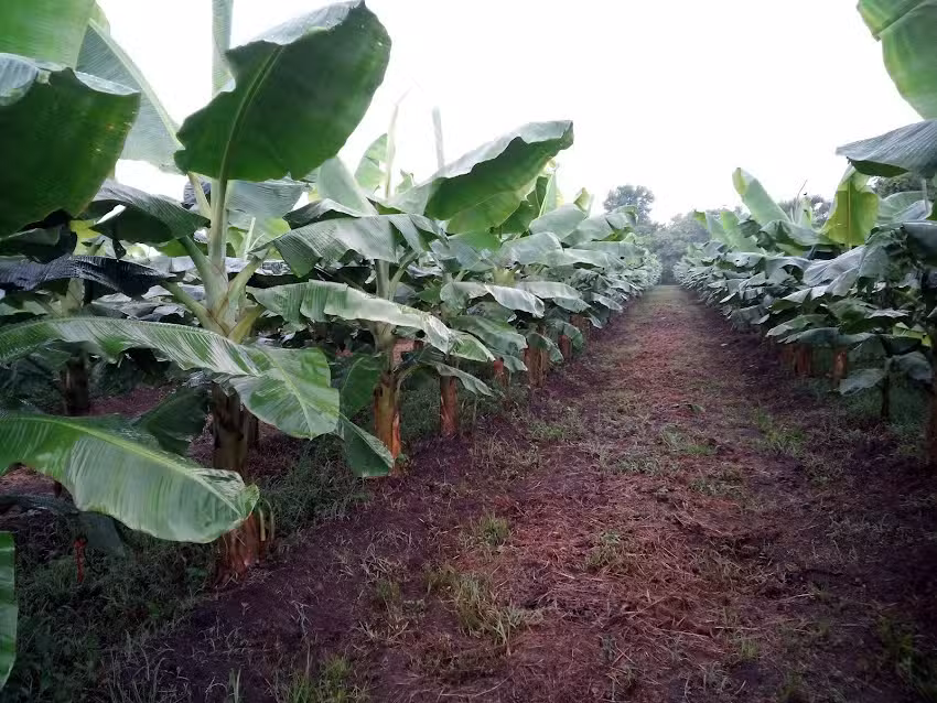 IGLESIA ADVENTISTA DEL S&Eacute;PTIMO D&Iacute;A &ldquo;DORADO DE VILLA&rdquo;