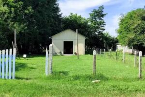 Iglesia Adventista del S&eacute;ptimo D&iacute;a El Pa&ntilde;uelo