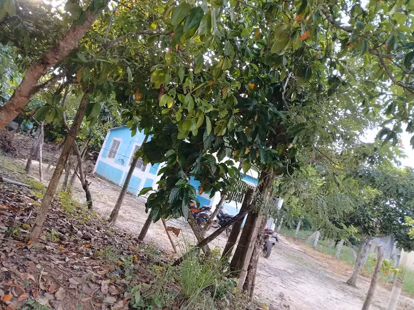 Iglesia Adventista del Septimo Dia Miguel Hidalgo