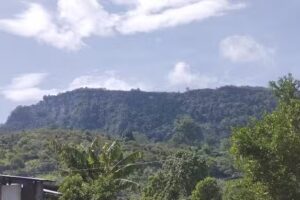 Iglesia Adventista del S&eacute;ptimo D&iacute;a, Naranjos 4