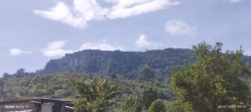 Iglesia Adventista del S&eacute;ptimo D&iacute;a, Naranjos 4