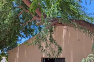 Iglesia Adventista del S&eacute;ptimo D&iacute;a | Oribe de Alba