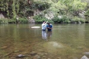 Iglesia Adventista del Séptimo Día Tres Arroyos