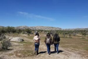 Iglesia Apost&oacute;lica