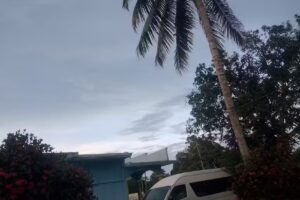 Iglesia ap&oacute;stolica