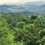 Iglesia Asunci&oacute;n de Mar&iacute;a