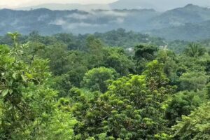 Iglesia Asunción de María