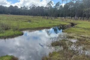 Iglesia Bas&iacute;lica de Mexiquillo San Benito abad