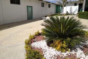 Iglesia Bautista Fundamental LA ZARZA