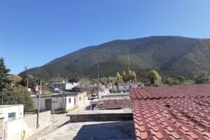 Iglesia Bautista Los Lirios