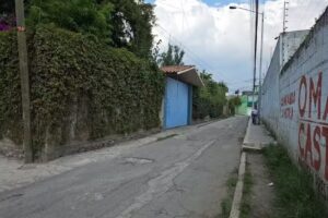 Iglesia Biblica Árbol de Vida