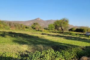 Iglesia (Bondh&iacute;)