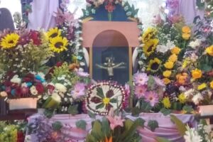 Iglesia cat&oacute;lica