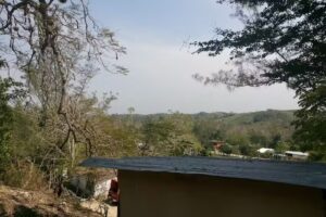 Iglesia cat&oacute;lica