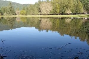 Iglesia cat&oacute;lica