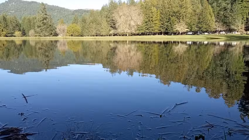 Iglesia cat&oacute;lica