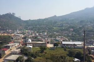 Iglesia cat&oacute;lica