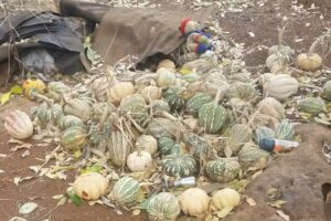 Iglesia Católica De Jerusalen