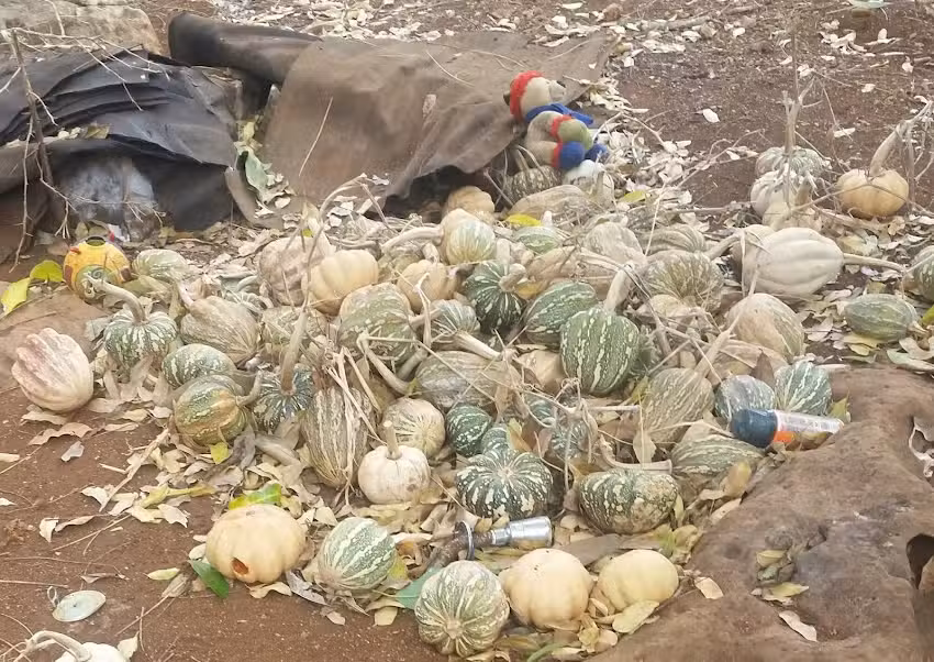 Iglesia Cat&oacute;lica De Jerusalen