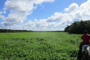 Iglesia Católica De San Roman
