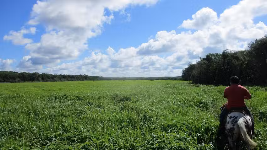 Iglesia Cat&oacute;lica De San Roman