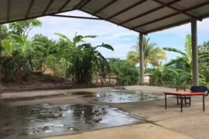 Iglesia Catolica De Santa Rosa de Lima