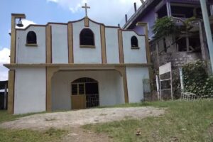 Iglesia Catolica, Inmaculada Concepci&oacute;n.