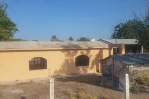 iglesia catolica narciso mendoza