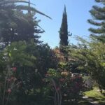 Iglesia catolica santo Domingo