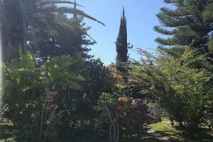 Iglesia catolica santo Domingo