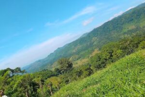 Iglesia Central Adventista del S&eacute;ptimo D&iacute;a