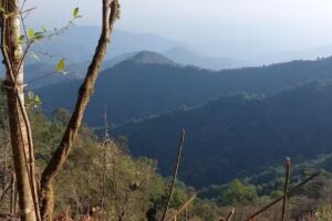 Iglesia Cerro Perico