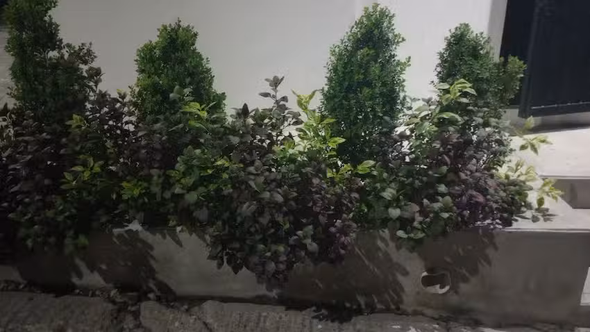 Iglesia Cristiana: Camino al cielo