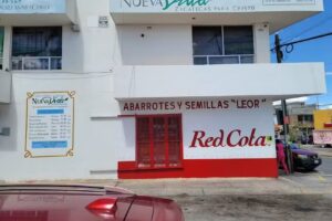 Iglesia Cristiana Evangelica Nueva Vida