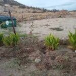 Iglesia Cristiana Gerizim