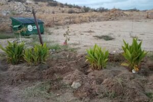 Iglesia Cristiana Gerizim