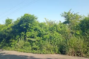 Iglesia Cristiana Miguel Hidalgo 1ra secci&oacute;n