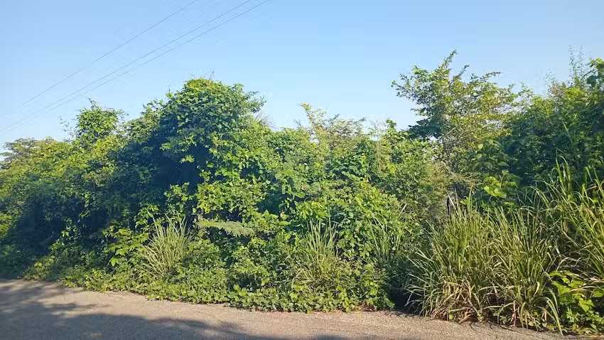 Iglesia Cristiana Miguel Hidalgo 1ra secci&oacute;n