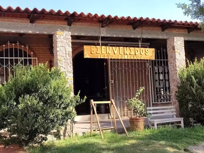 Iglesia Cristiana Olivo