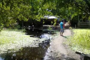 Iglesia Cristo Viene